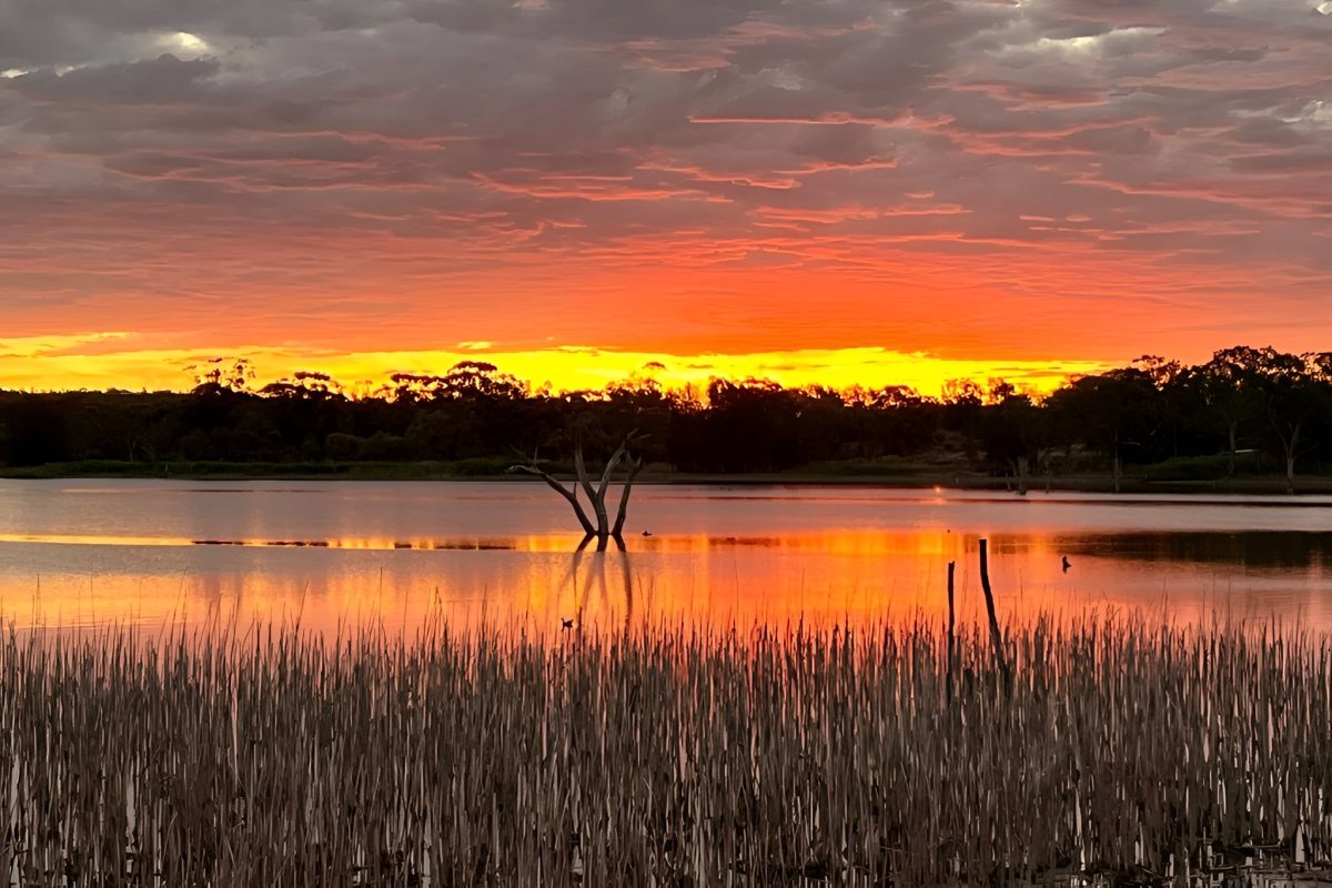 Lake Wyangan at night 