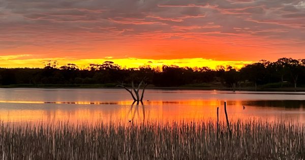 Red alert for Lake Wyangan, mayor allays fears over drinking water supply