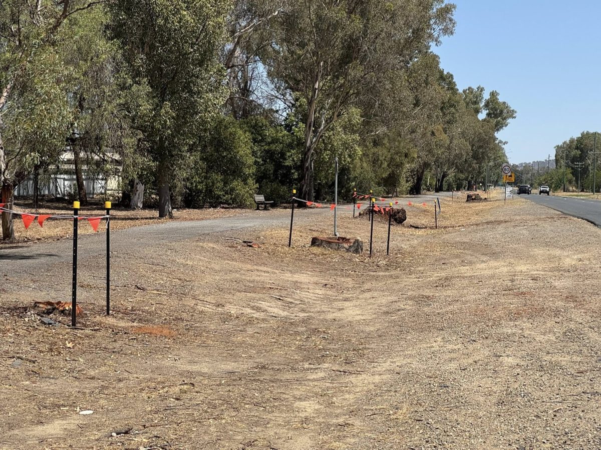 Wagga councillor Jenny McKinnon has voiced her disapproval of several trees being removed along Plumpton Road.