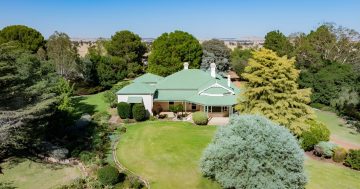 Murdoch family’s $18 million Riverina property and sheep-breeding studs up for sale