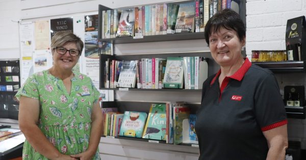 Yanco shelves the wait for its first public library service