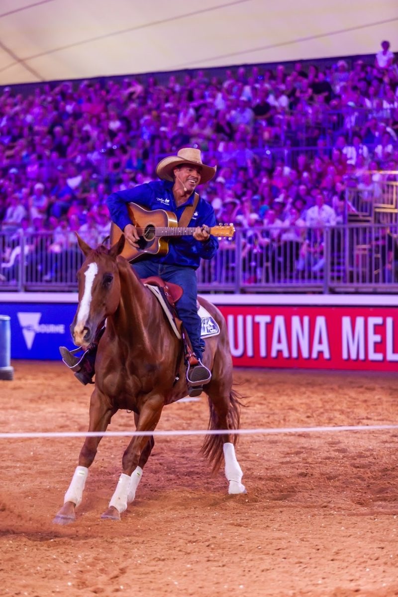 guy on horse with guitar 