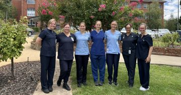 Calvary Hospital welcomes five new graduate nurses