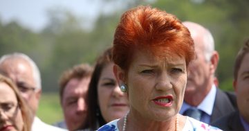 One Nation eyes Sussan Ley's seat as possible five-way by-election contest looms
