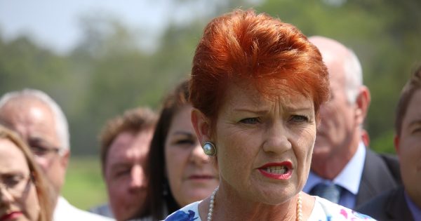 One Nation eyes Sussan Ley's seat as possible five-way by-election contest looms