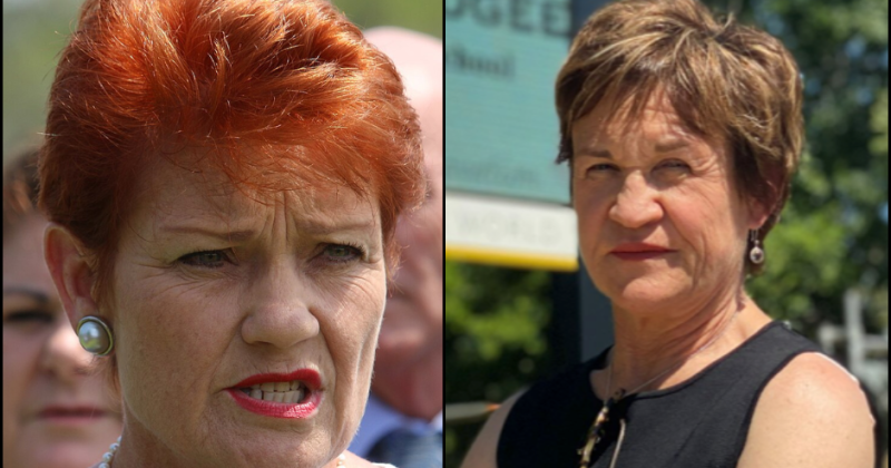 Dalton approached by One Nation to run for Sussan Ley's federal seat